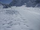 Denali2006-thb10.jpg