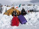 Denali2006-thb17.jpg