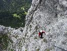 Kalbling18.08.2006-thb03.jpg