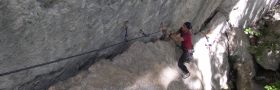 gifs/ulli1.jpg